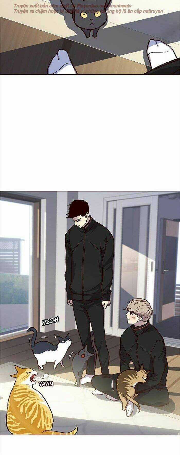 Eleceed - Hoá Thân Thành Mèo Chapter 34 trang 54