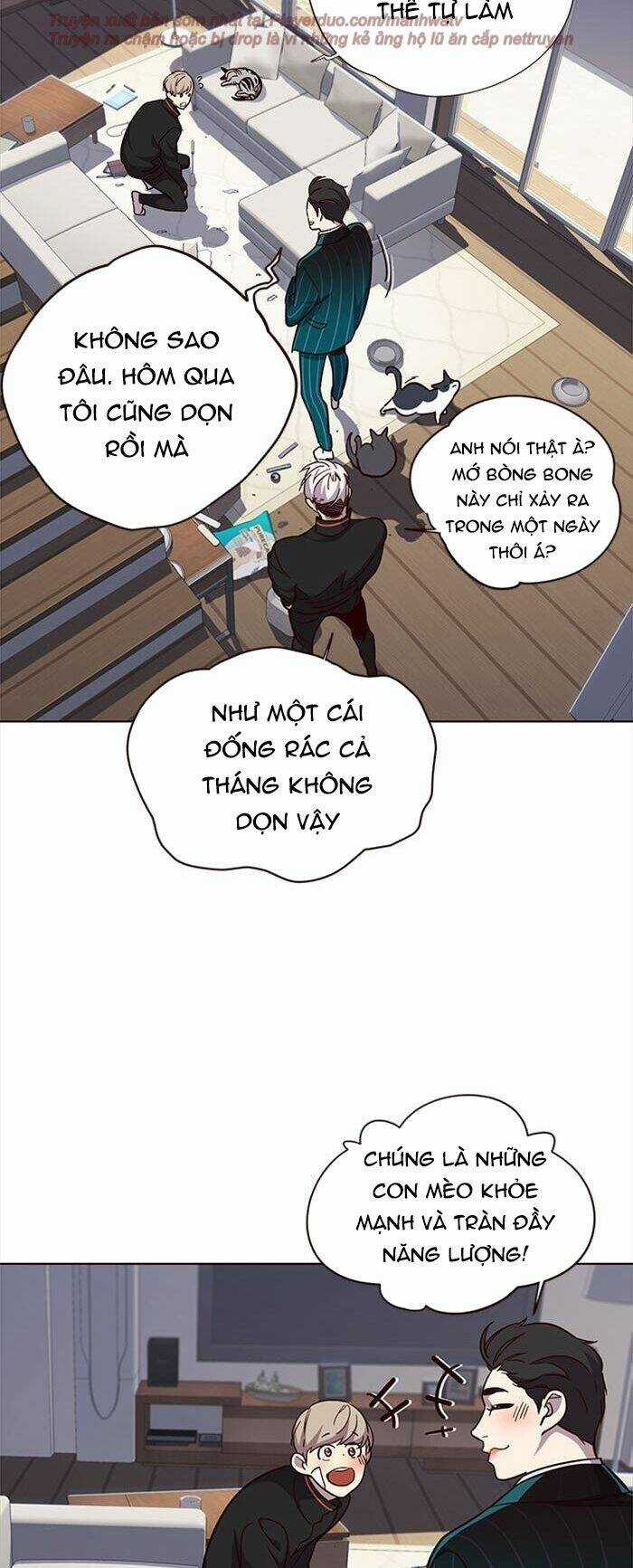 Eleceed - Hoá Thân Thành Mèo Chapter 35 trang 6