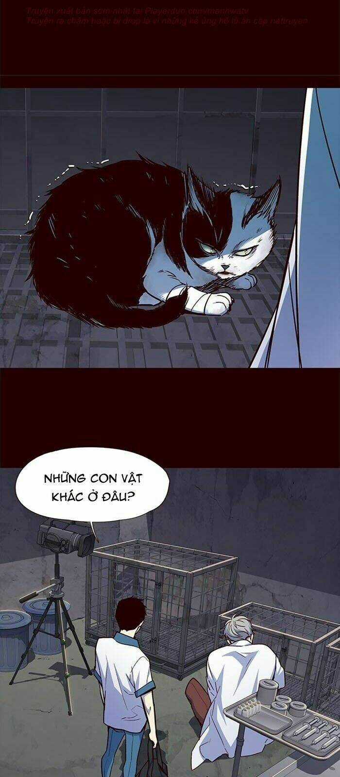 Eleceed - Hoá Thân Thành Mèo Chapter 36 trang 15