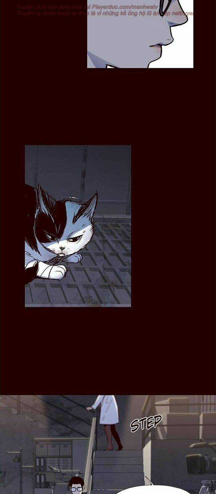 Eleceed - Hoá Thân Thành Mèo Chapter 36 trang 21