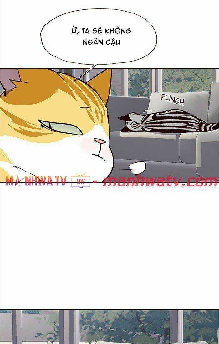 Eleceed - Hoá Thân Thành Mèo Chapter 37 trang 32