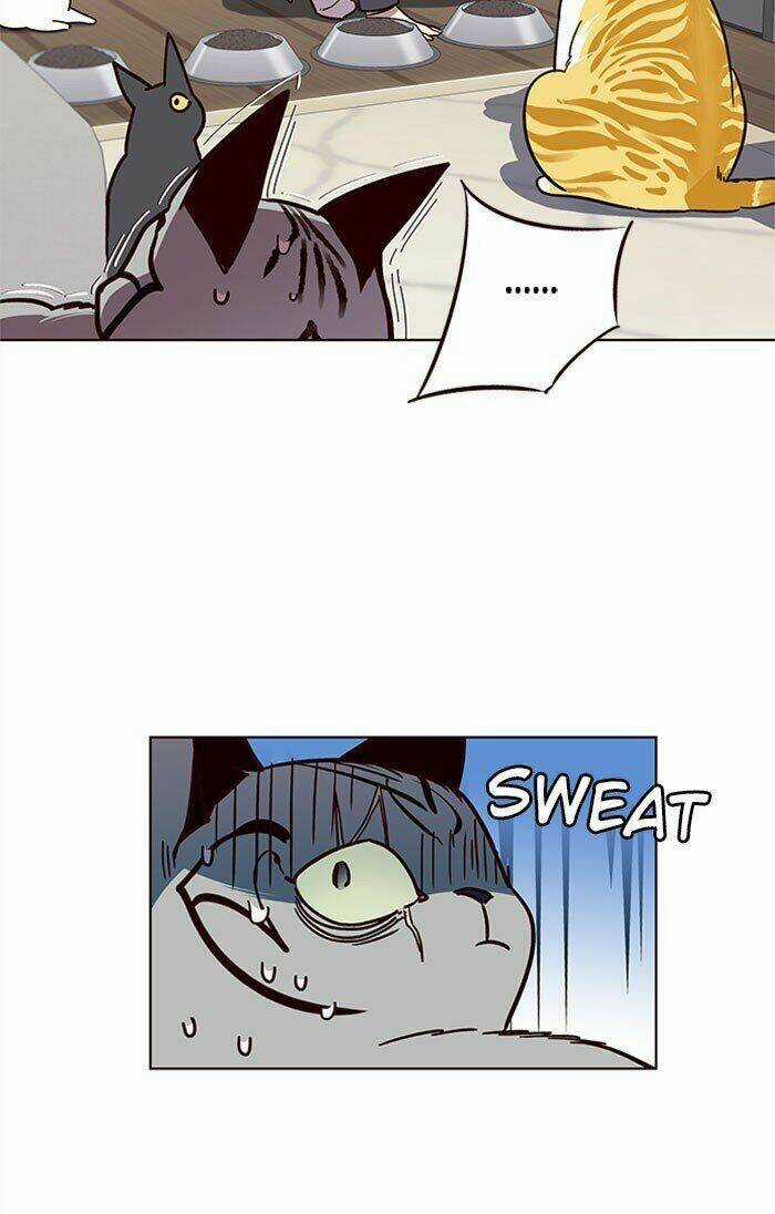 Eleceed - Hoá Thân Thành Mèo Chapter 37 trang 35