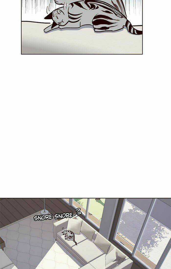 Eleceed - Hoá Thân Thành Mèo Chapter 37 trang 43