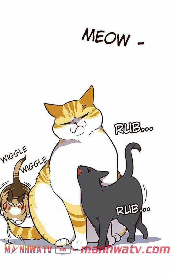 Eleceed - Hoá Thân Thành Mèo Chapter 37 trang 49