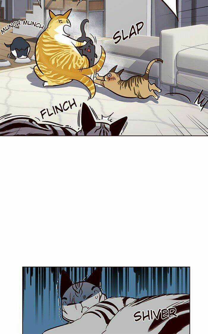 Eleceed - Hoá Thân Thành Mèo Chapter 37 trang 51