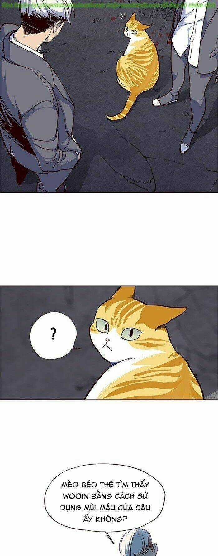 Eleceed - Hoá Thân Thành Mèo Chapter 41 trang 33