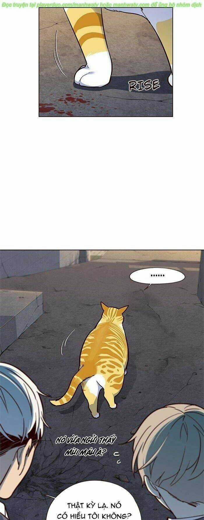 Eleceed - Hoá Thân Thành Mèo Chapter 41 trang 36