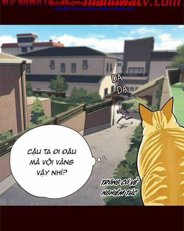 Eleceed - Hoá Thân Thành Mèo Chapter 52 trang 46