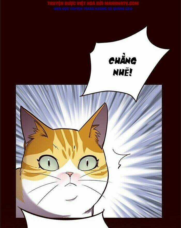 Eleceed - Hoá Thân Thành Mèo Chapter 52 trang 47