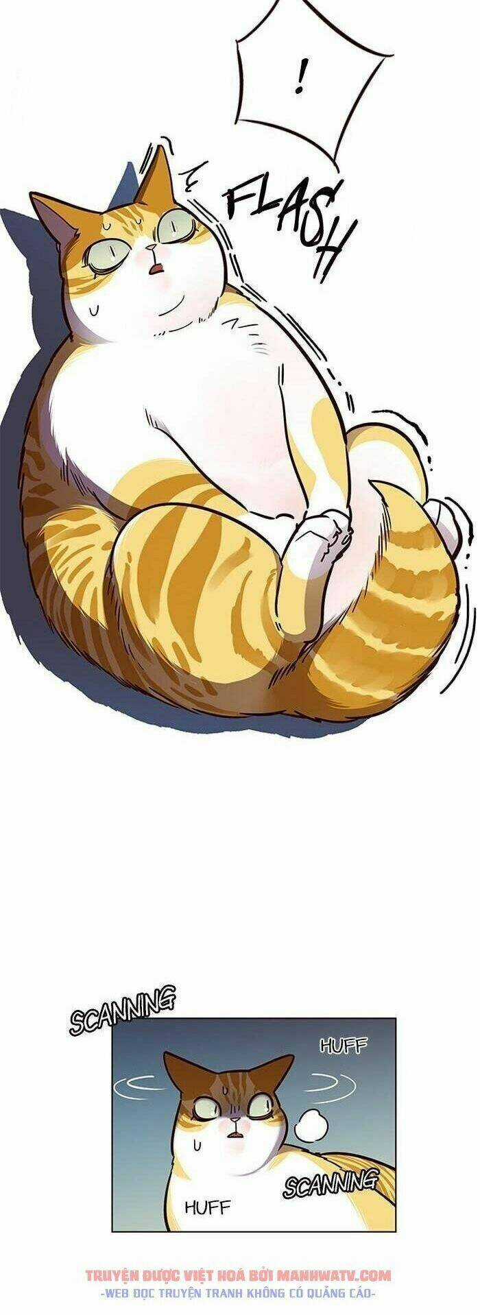 Eleceed - Hoá Thân Thành Mèo Chapter 56 trang 10