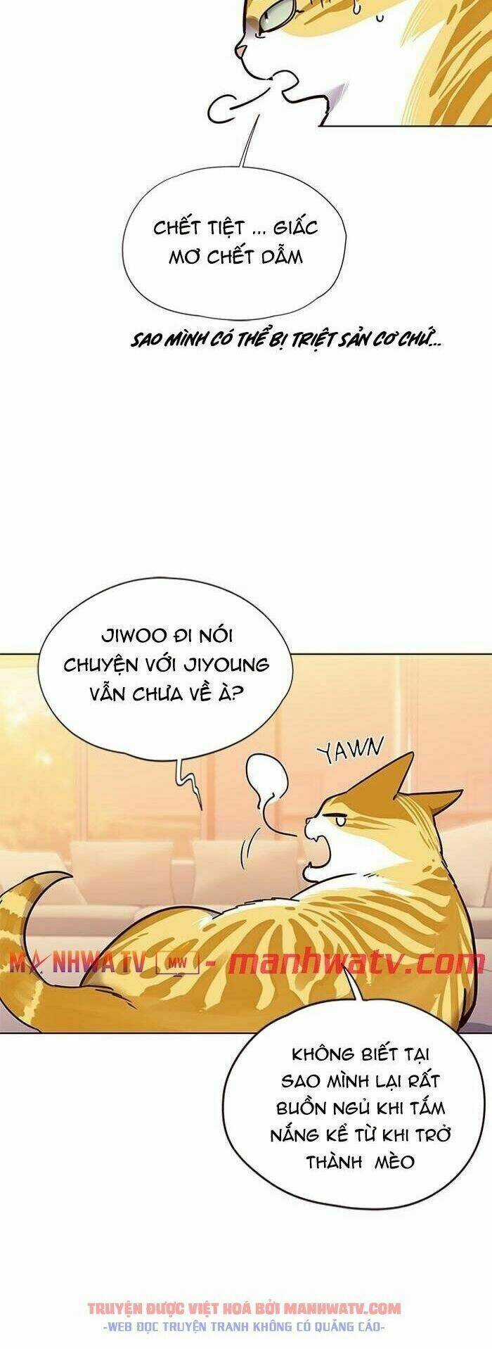 Eleceed - Hoá Thân Thành Mèo Chapter 56 trang 13