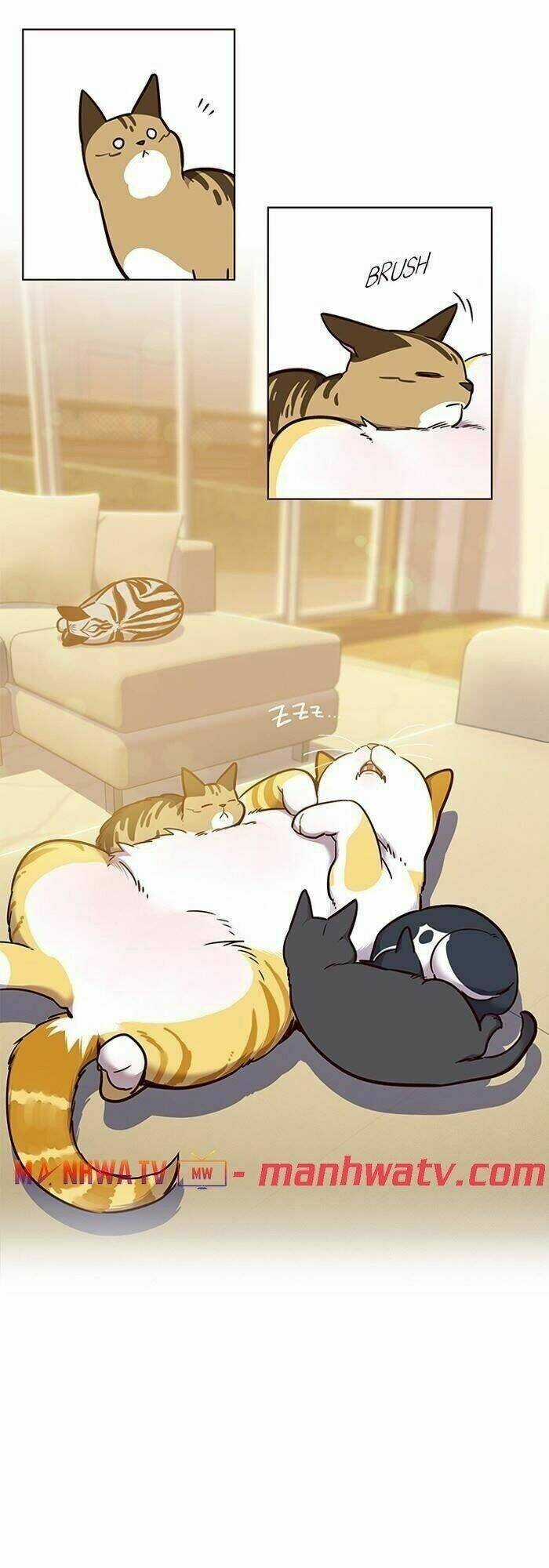 Eleceed - Hoá Thân Thành Mèo Chapter 56 trang 14