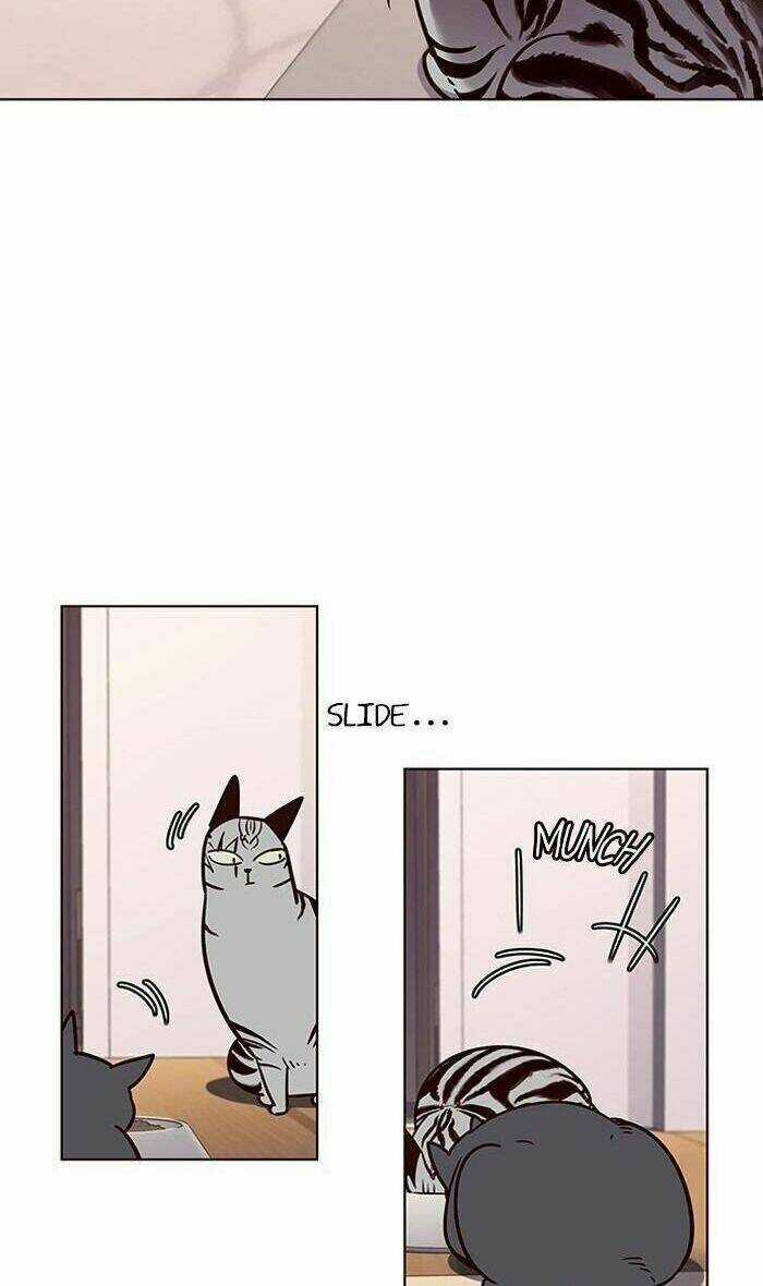 Eleceed - Hoá Thân Thành Mèo Chapter 56 trang 40