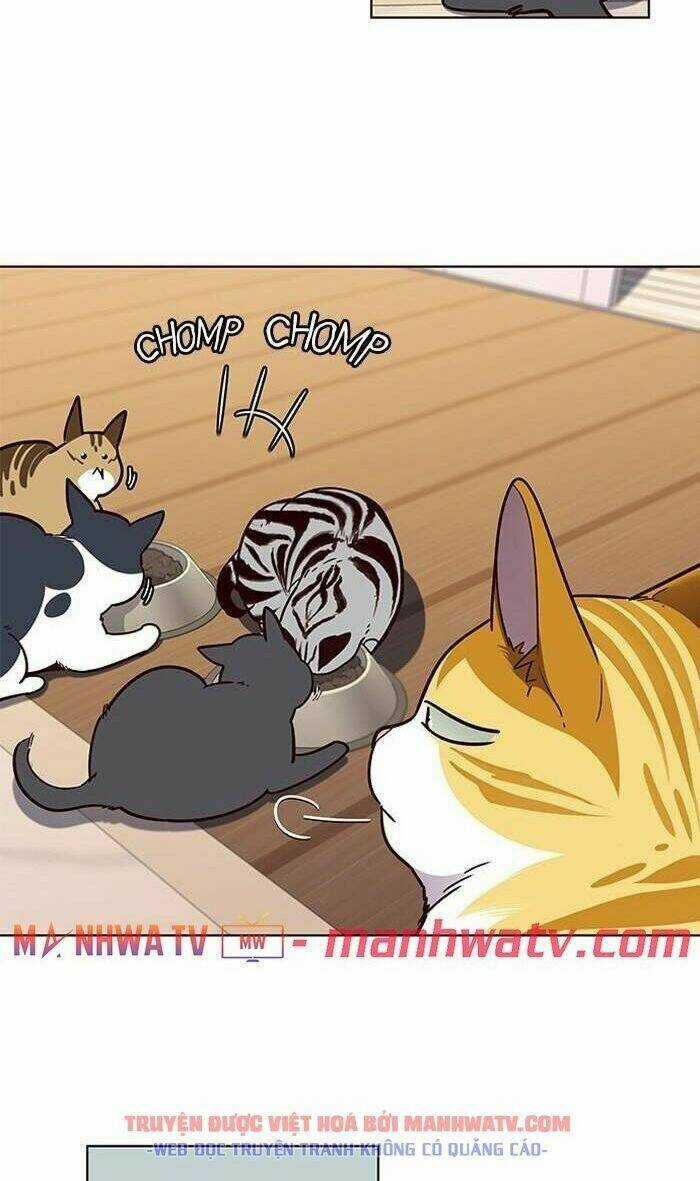 Eleceed - Hoá Thân Thành Mèo Chapter 56 trang 41