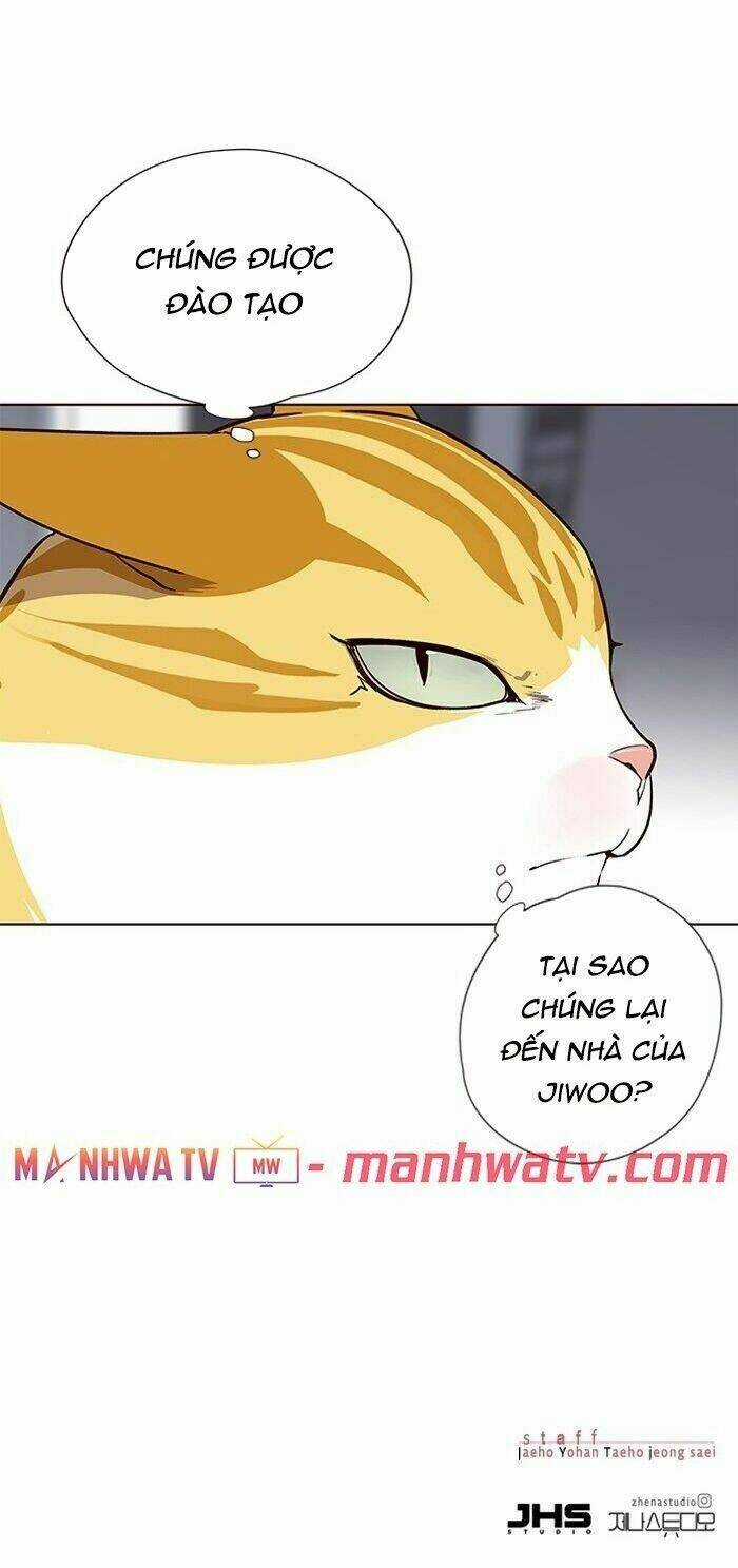 Eleceed - Hoá Thân Thành Mèo Chapter 57 trang 53