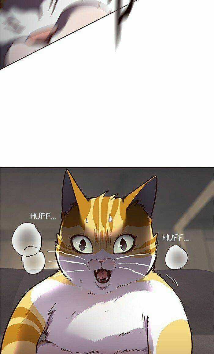 Eleceed - Hoá Thân Thành Mèo Chapter 65 trang 10