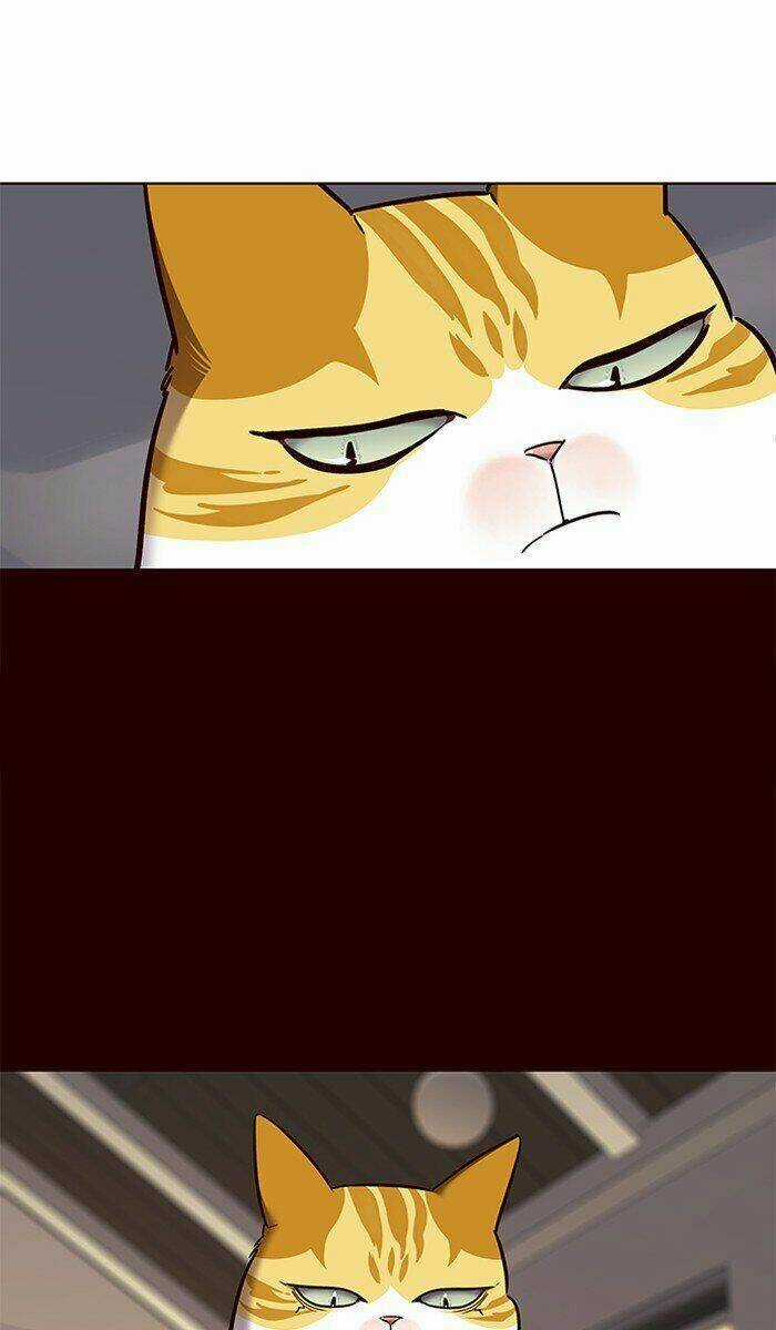 Eleceed - Hoá Thân Thành Mèo Chapter 67 trang 36