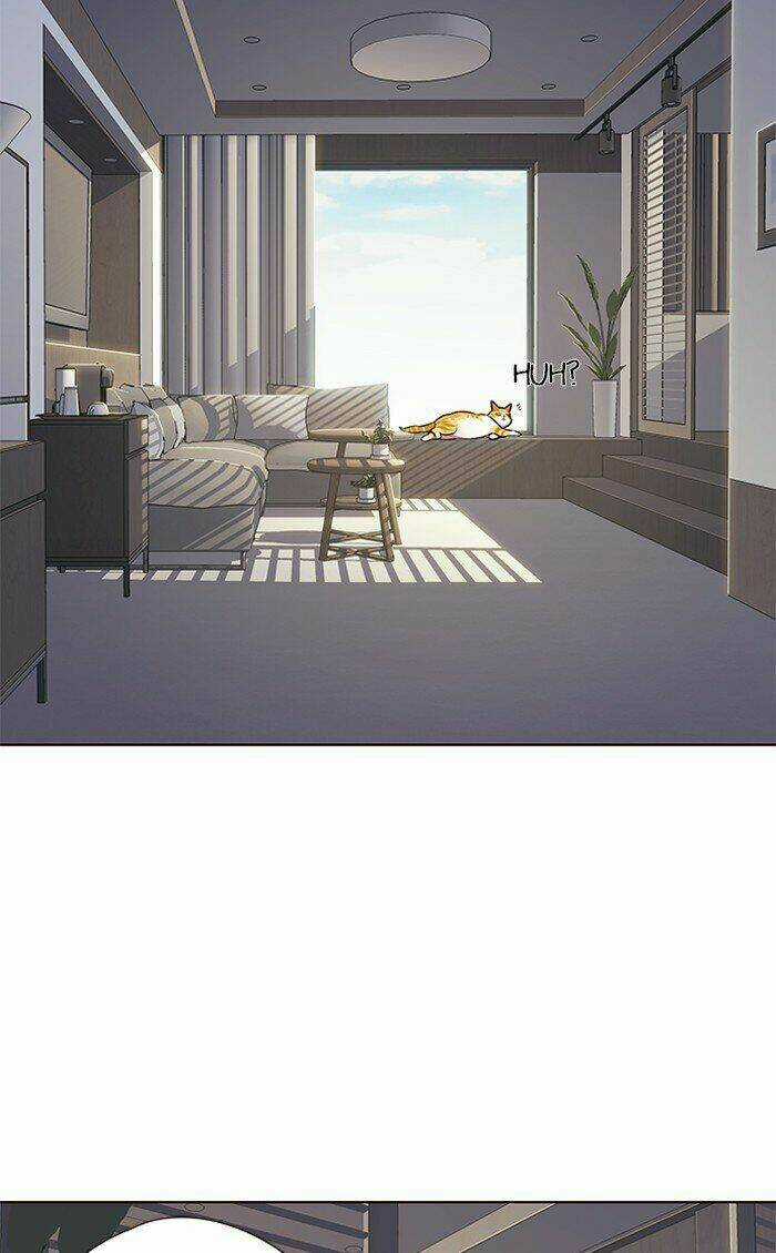 Eleceed - Hoá Thân Thành Mèo Chapter 70 trang 3