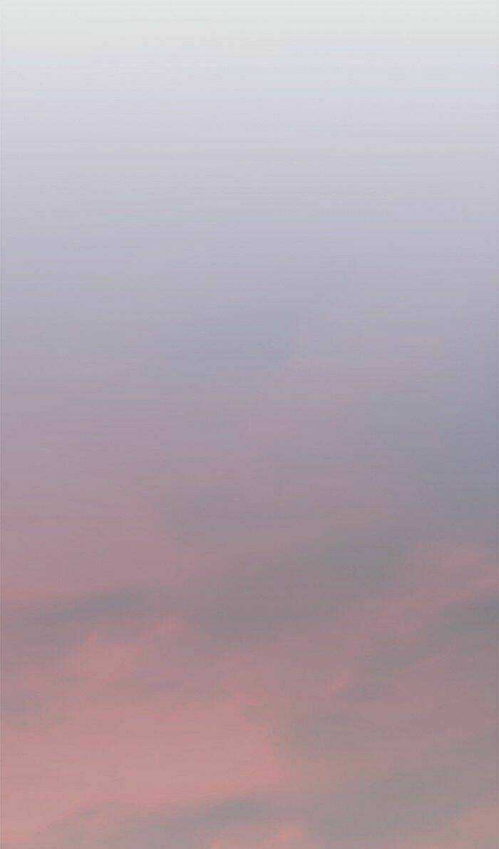 Eleceed - Hoá Thân Thành Mèo Chapter 80 trang 23