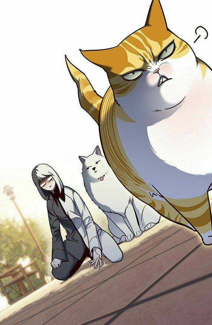 Eleceed - Hoá Thân Thành Mèo Chapter 81 trang 2