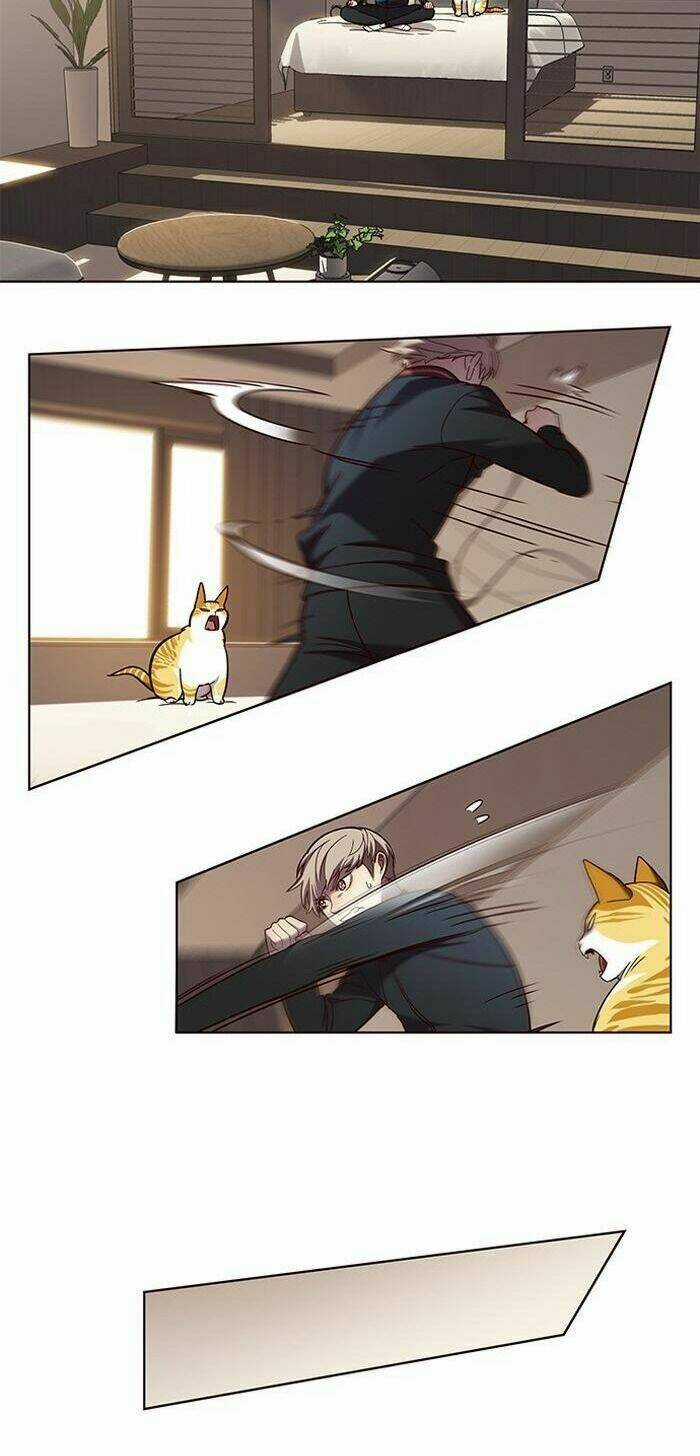 Eleceed - Hoá Thân Thành Mèo Chapter 83 trang 29