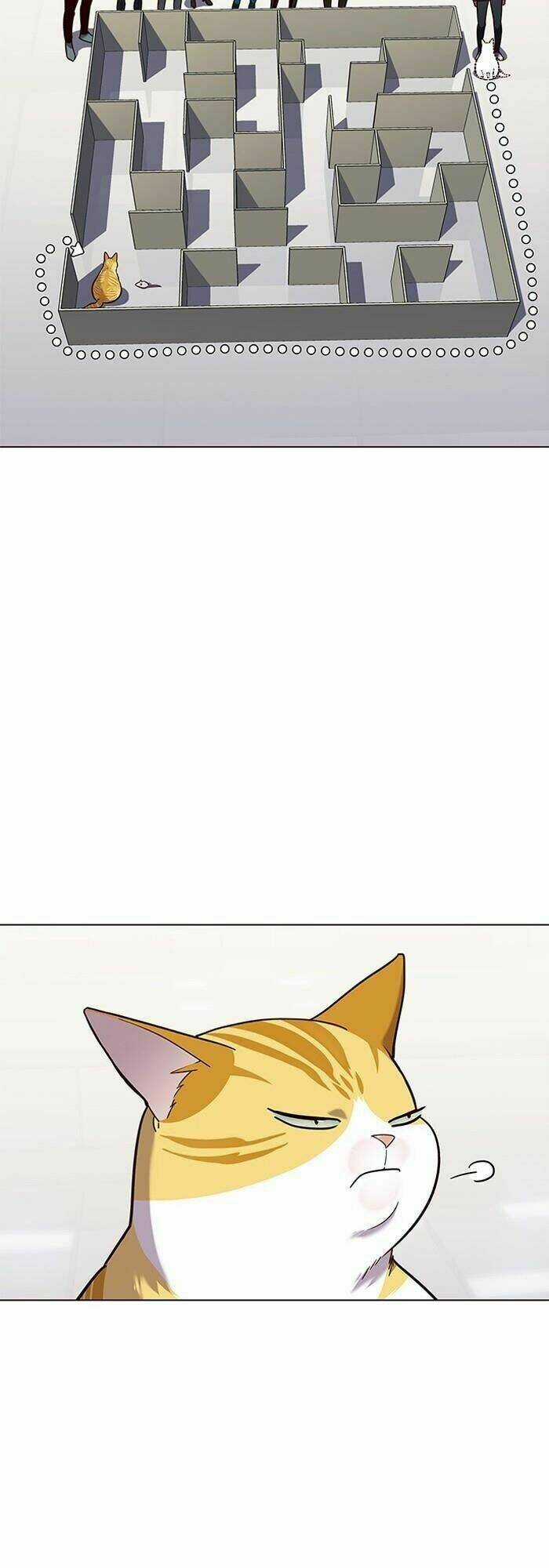 Eleceed - Hoá Thân Thành Mèo Chapter 89 trang 35