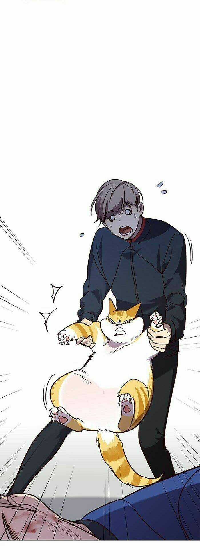 Eleceed - Hoá Thân Thành Mèo Chapter 89 trang 56