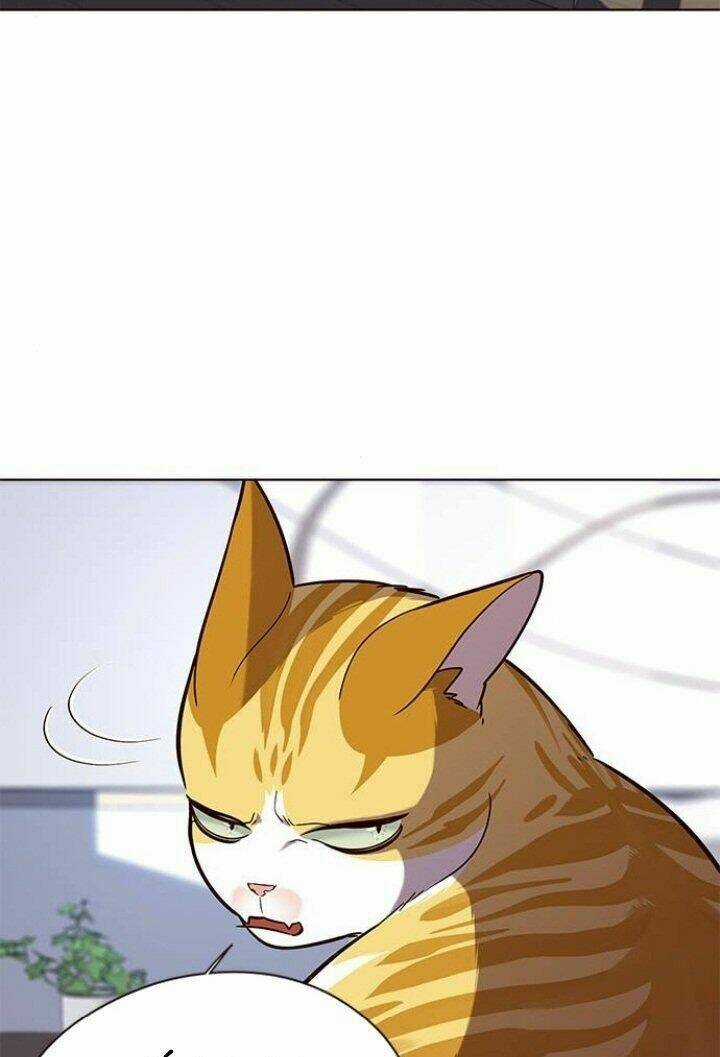 Eleceed - Hoá Thân Thành Mèo Chapter 90 trang 3