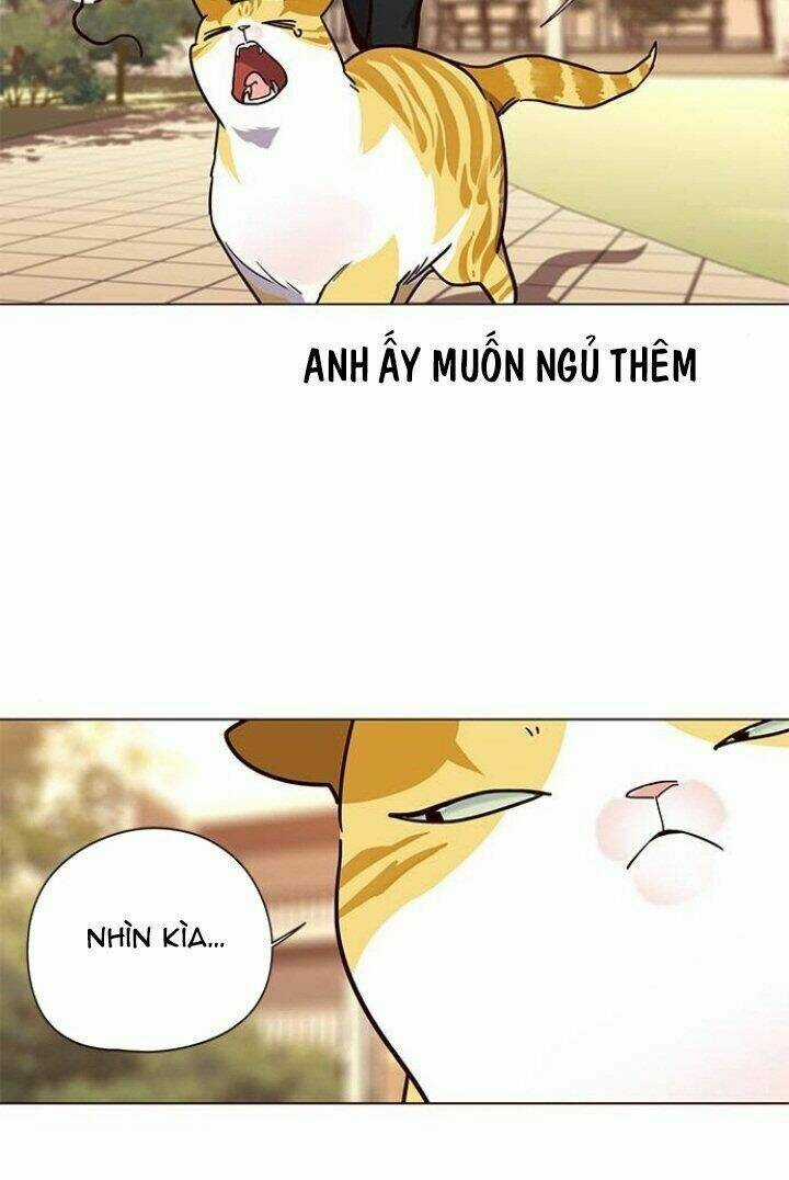 Eleceed - Hoá Thân Thành Mèo Chapter 90 trang 39