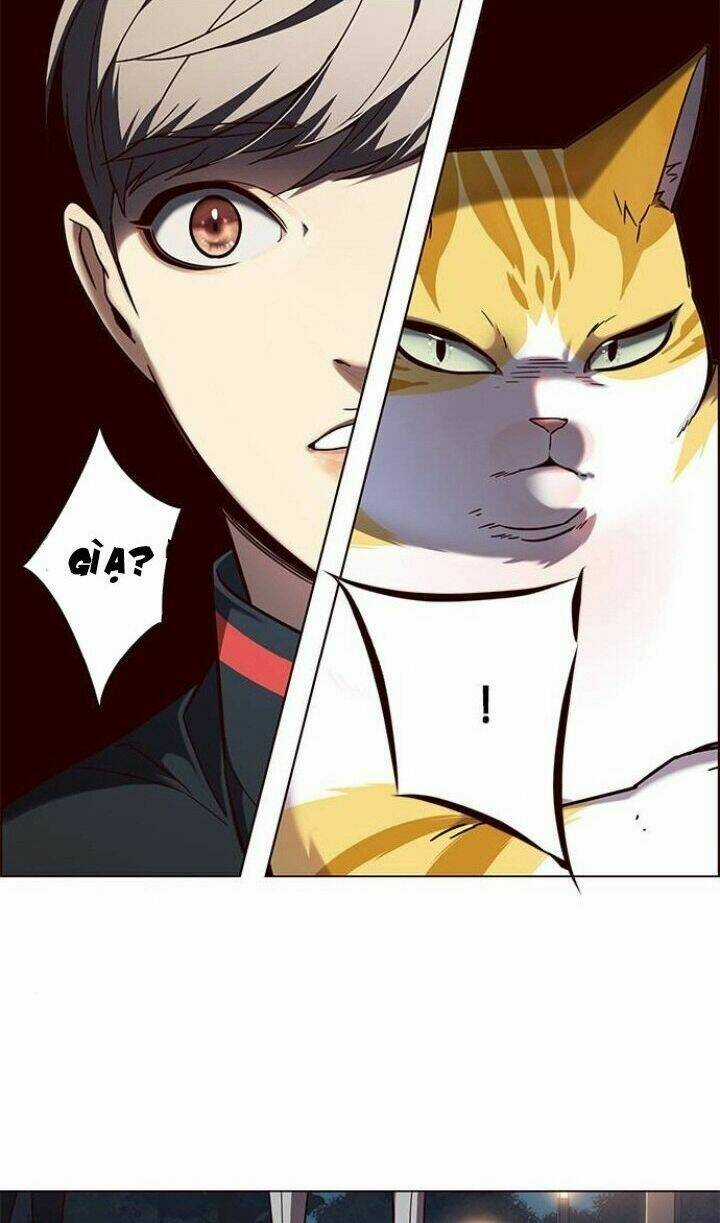 Eleceed - Hoá Thân Thành Mèo Chapter 91 trang 35