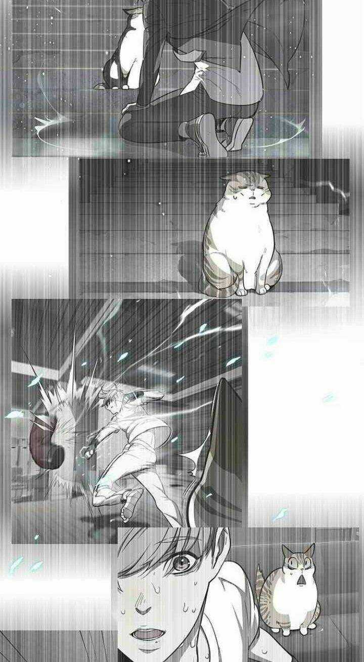 Eleceed - Hoá Thân Thành Mèo Chapter 93 trang 35