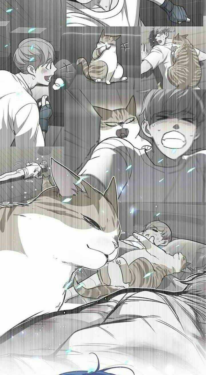 Eleceed - Hoá Thân Thành Mèo Chapter 93 trang 36