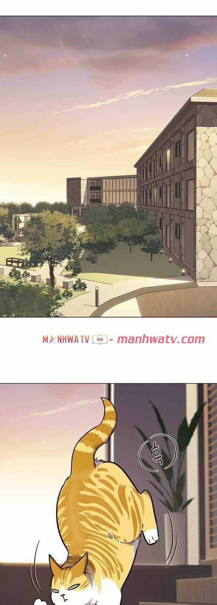 Eleceed - Hoá Thân Thành Mèo Chapter 94 trang 14