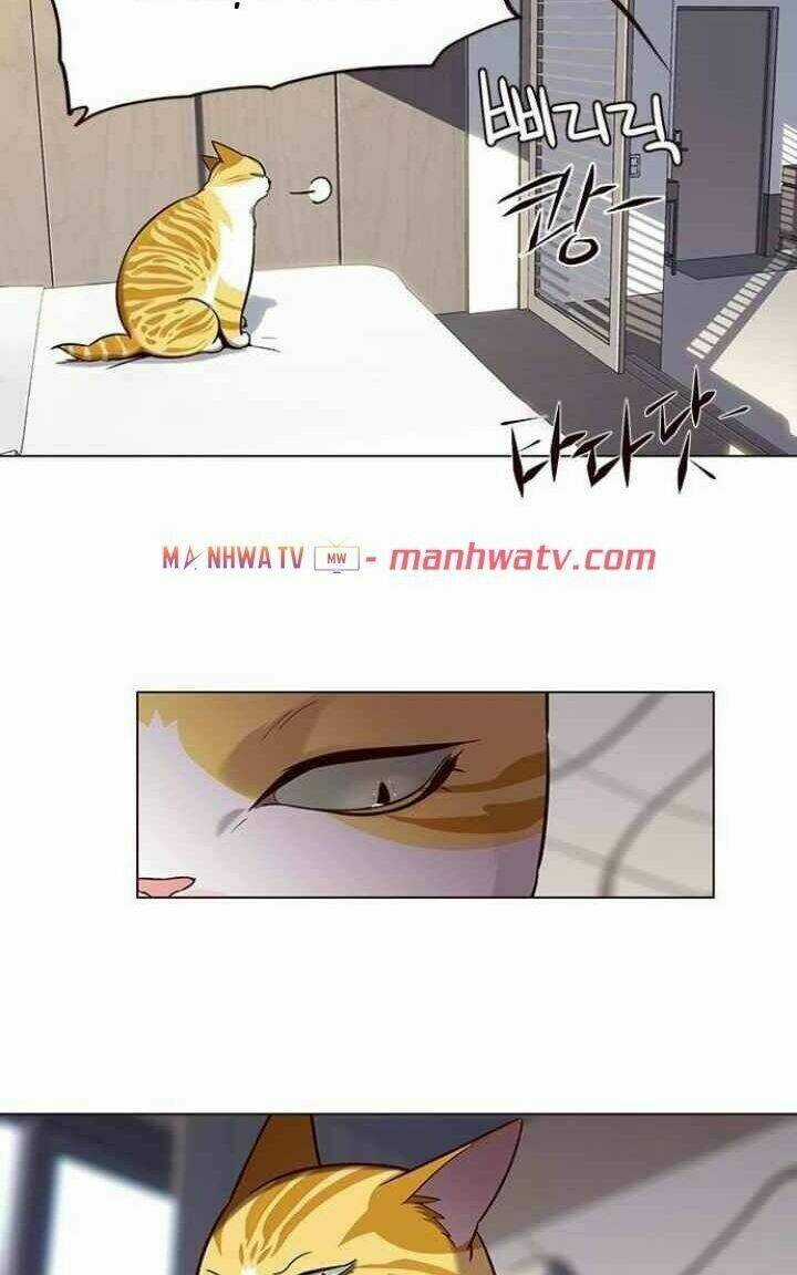 Eleceed - Hoá Thân Thành Mèo Chapter 95 trang 32