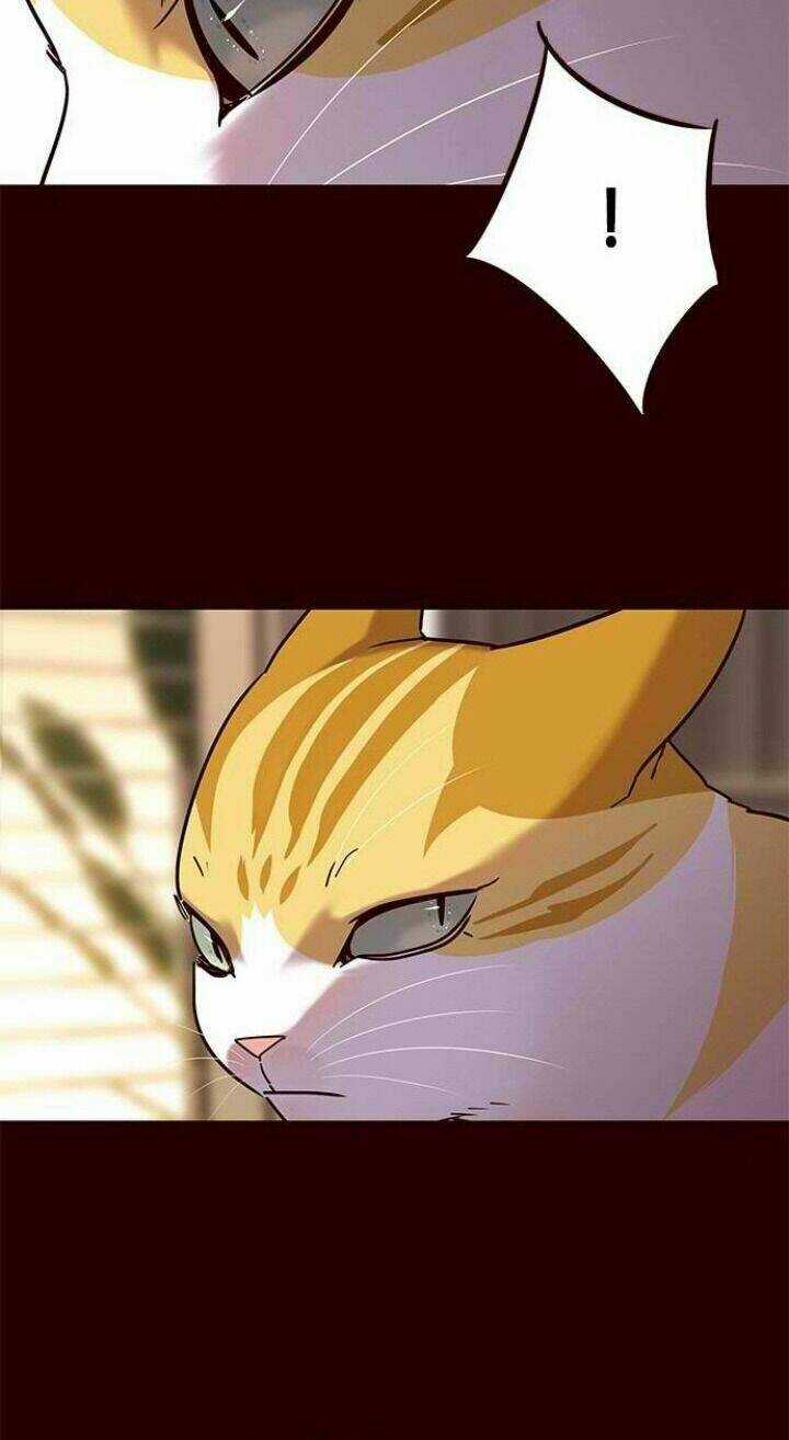 Eleceed - Hoá Thân Thành Mèo Chapter 96 trang 10