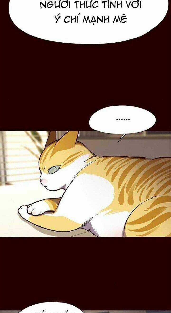 Eleceed - Hoá Thân Thành Mèo Chapter 96 trang 15