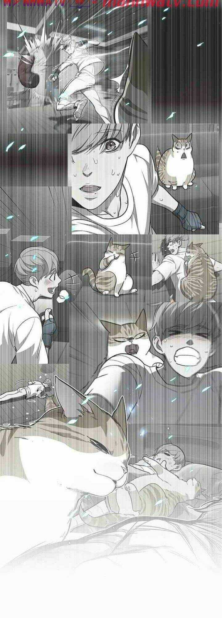 Eleceed - Hoá Thân Thành Mèo Chapter 99 trang 52