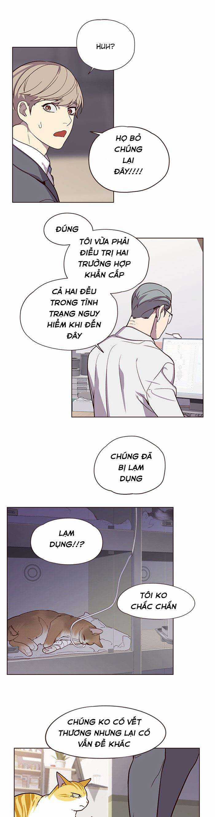 Eleceed Chapter 10 trang 28