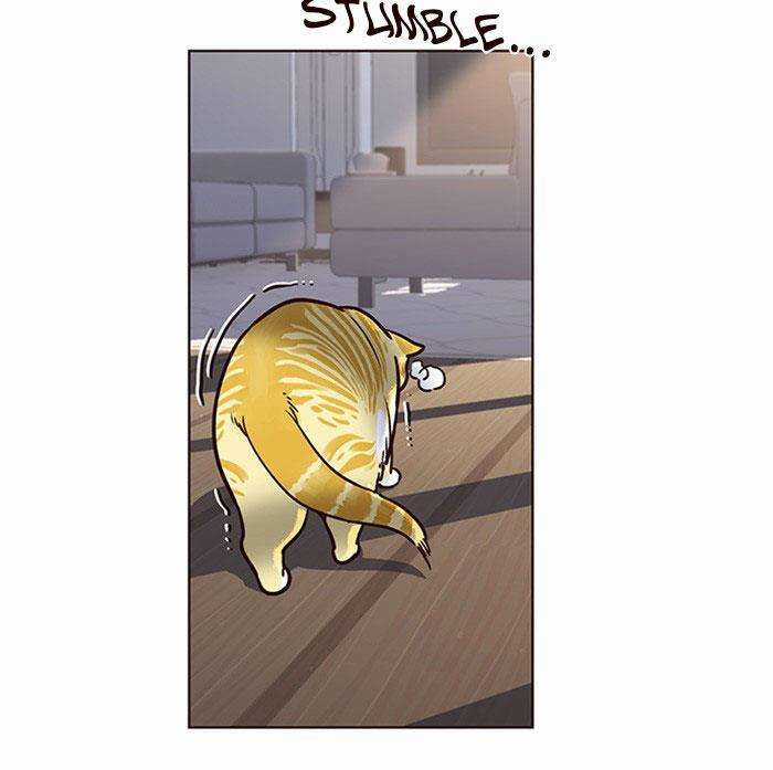 Eleceed Chapter 11 trang 43