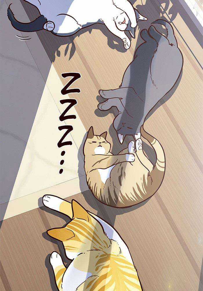 Eleceed Chapter 11 trang 48