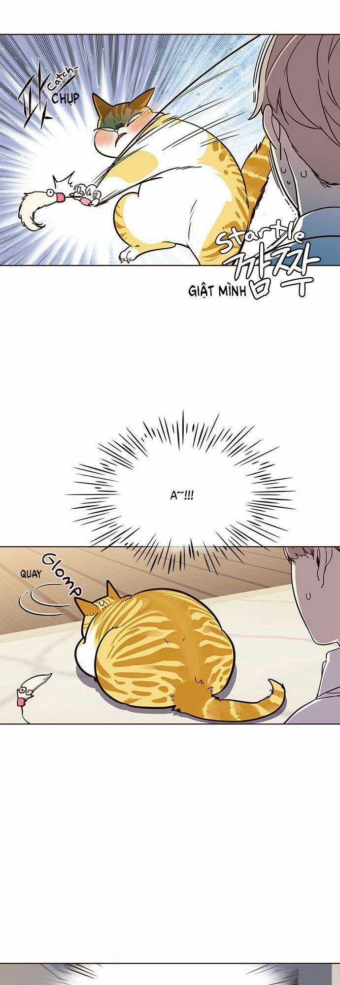 Eleceed Chapter 16 trang 22