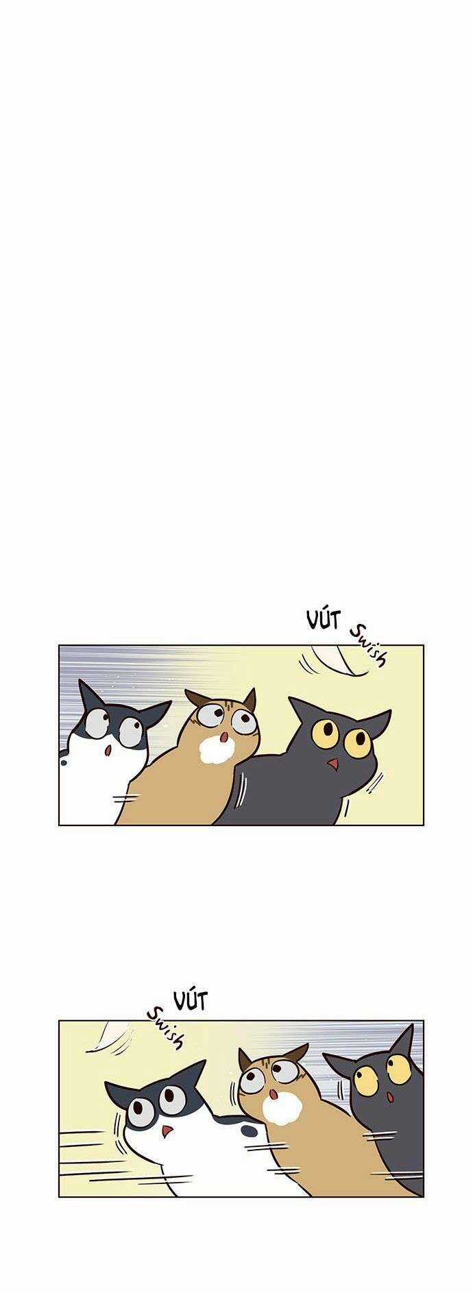 Eleceed Chapter 16 trang 7