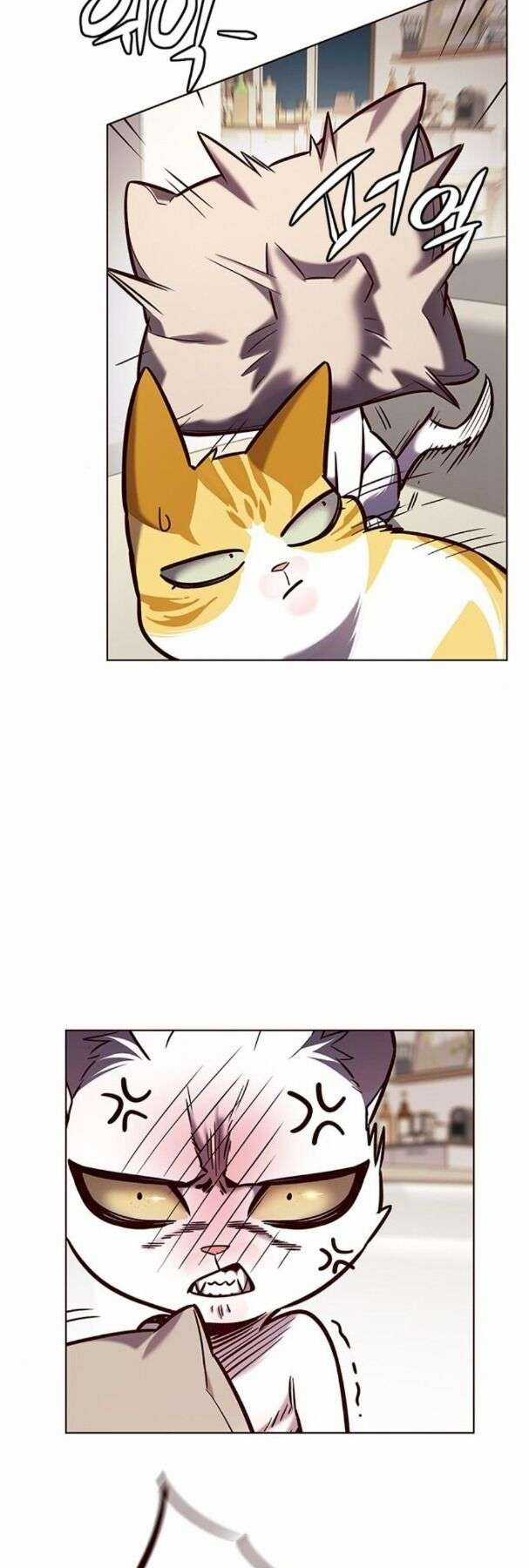 Eleceed Chapter 190 trang 1