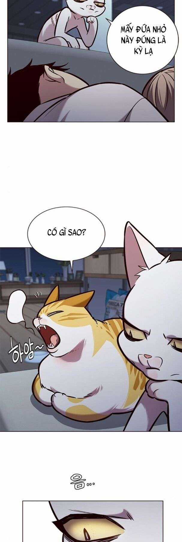 Eleceed Chapter 190 trang 19