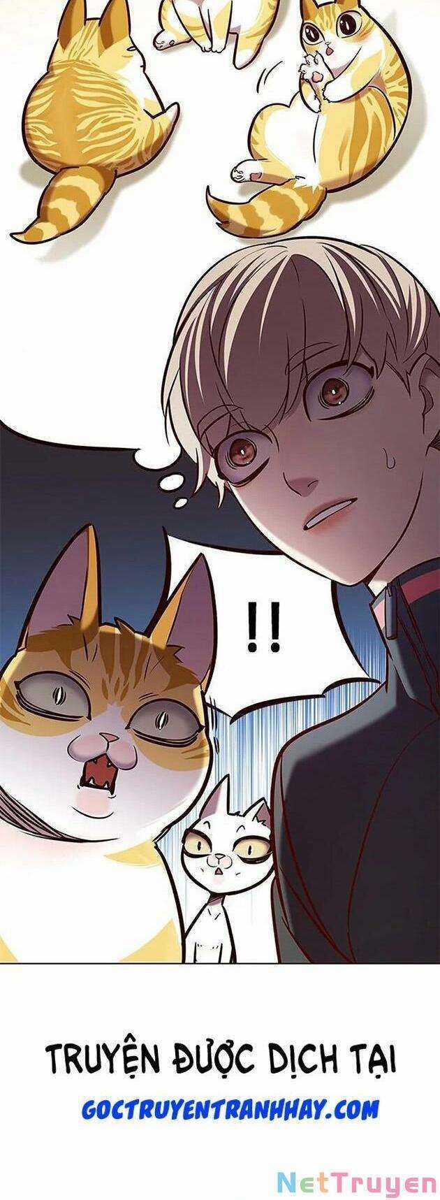 Eleceed Chapter 196 trang 31