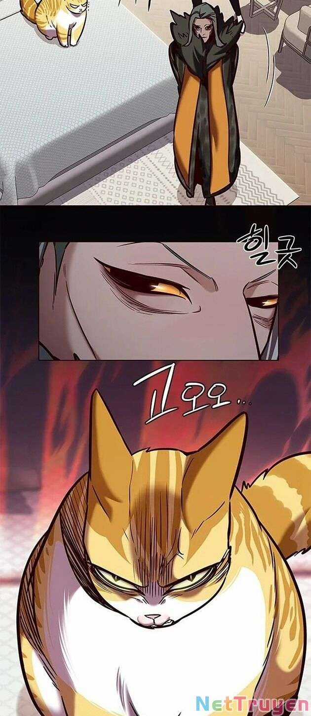 Eleceed Chapter 196 trang 34