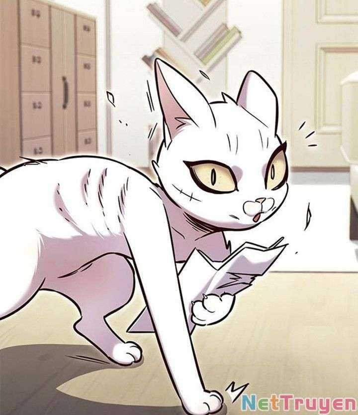 Eleceed Chapter 200 trang 51