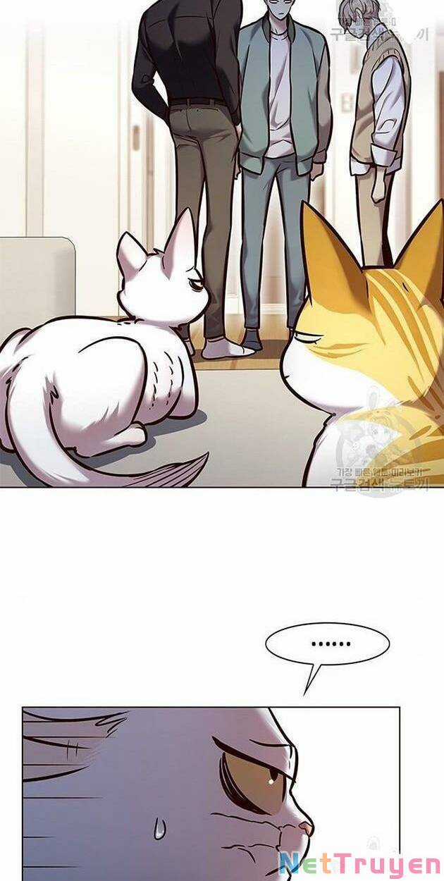 Eleceed Chapter 228 trang 4