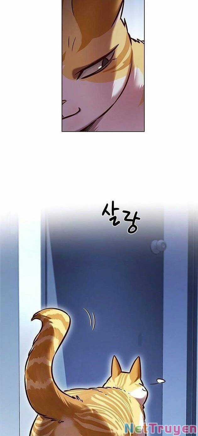 Eleceed Chapter 229 trang 50