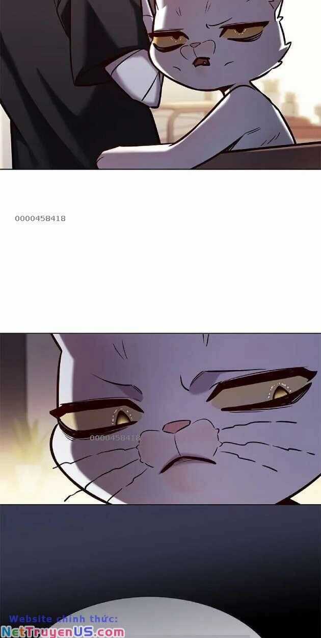 Eleceed Chapter 263 trang 14